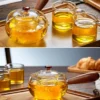 300ml/500ml Regimen Steaming kettle Heatable Borosilicate Glass Teapot with Handle Herbal Flower tea pot Kettle health l - Image 6