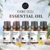 10ml Fragrance Oils Pure Undiluted Strong Smell for DIY Candle Soap Bath Home Hotel Diffuser Humidifier Candle Fragrance Oil - Image 2