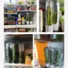 Herb Saver Premium Herb Storage Container Vegetable Preserving Bottle Herbal Preserving Storage Bottle Kitchen Storing Gadget - Image 5