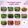 12 Pcs Herbal Yoni Steam Herbs Vagina Detox Douche Tea Women Period Pain Relief Private Part Itching Odor Fertility Booster - Image 3