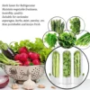 Herb Saver Premium Herb Storage Container Vegetable Preserving Bottle Herbal Preserving Storage Bottle Kitchen Storing Gadget - Image 3