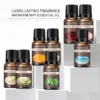 10ml YINSHO Aromas Fragrance Oils Pure Undiluted Strong Smell Candle Soap Bath Home Hotel Diffuser Humidifier Candle Fragrance O - Image 2