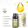 PHATOIL 10ml Vanilla Eessential Oil for Aroma Candles Making Spa Massage Humidifier Sandalwood Black Pepper Ginger Tea Tree - Image 5