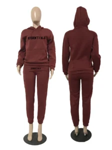 Hoodies Set for Women Suit Hoodie and Sweat Pants Set Zip V Long Sleeve Sport 2 Piece Set Women Tracksuit Joggers Sweat - Image 5