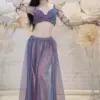 Belly Dance Practice Clothes Adult Ladies Oriental Belly Skirt Stage Performance Tops Split Long Skirts 2 Pcs Professional Set