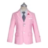 Flower Boys Pink Ceremony Party Suit Kids Formal Jakcet Pants 2PS Tuxedo Wedding Dress Children Birhtday Photograph Costume - Image 3