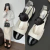 Women Shoes New 2023 Autumn Korean Style Rose High Heels Women Fashion Mixed Colors Mary Jane Shoes for Women Zapatos De Mujer - Image 3