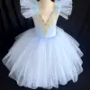 Professional Romantic Tutu Long Tulle Tutus Ballet Dress Women Girls Ballerina Party Dress Children Ballet Dance Costumes