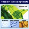 Deep-Sea Black Algae Cleaning Cream Underarm Lips Knee Sensitive Areas Bleach Exfoliating Scrub Rejuvenation Skin Care Product - Image 5