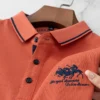 MLSHP Summer 100% Cotton Men's Polo Shirts High Quality Short Sleeve Solid Color Embroidery Business Casual Male T-shirts 4XL - Image 2