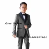 Royal Blue Boy Suit 2 Piece Wedding Tuxedo Party Dress Formal Blazer Pant Suit Kids Fashion Clothes Child Jacket - Image 4