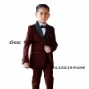 Royal Blue Boy Suit 2 Piece Wedding Tuxedo Party Dress Formal Blazer Pant Suit Kids Fashion Clothes Child Jacket - Image 3