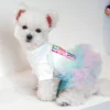 Layered Rainbow Veil Puppy Summer Clothes for Small Dogs Birthday Short Sleeve Pet Dog Dresses Princess Summer New Cat Clothing - Image 5