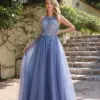 Dusty Blue Soft Shiny Tulle Evening Dresses Elegant Appliques Sexy Backless Fish Bone Illusion Prom Formal Party Gowns Vestidos