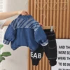 Spring Autumn Korean Baby Boy Clothes 9 To 12 Months Turn-down Collar Cardigan Denim Coats T-shirts Jeans for Boys Outfits - Image 2