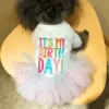 Layered Rainbow Veil Puppy Summer Clothes for Small Dogs Birthday Short Sleeve Pet Dog Dresses Princess Summer New Cat Clothing - Image 4