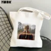 Taylor Singer Swift Tote Bags for Women Polyester/cotton Shopping Bag Resuable Eco Aesthetic Shoulder Bag Sac De Luxe Femme - Image 5