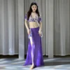 Dancer's Original Niche Design Belly Dance Costume Summer Printed Mesh Exercise Suit Set Stage Performance Dance Accessories - Image 6