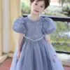 Elsa Frozen Little Girl Birthday Dress Long Sleeved Gauze Autumn Winter Elegant Princess Gala Dresses for Girls 3-10 Years Old