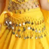 Sequins Tassels Costumes Thailand/India/Arab Dancer Skirt Women Sexy Belly Dance Hip Scarf Wrap Belt Dancer Skirt Female Show - Image 3