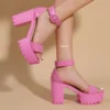 Brand Summer Women Sandals Platform Shoes Female Chunky Women High Heels Roman Punk Gothic Y2K Shoes Open Toe Women Pumps 2023 - Image 2