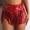 Sexy Belly Dancing Hip Scarf Wrap Belt Dancer Skirt Female Show Stage Costumes Sequins Tassels Thailand/India/Arab Dance Wear - Image 3