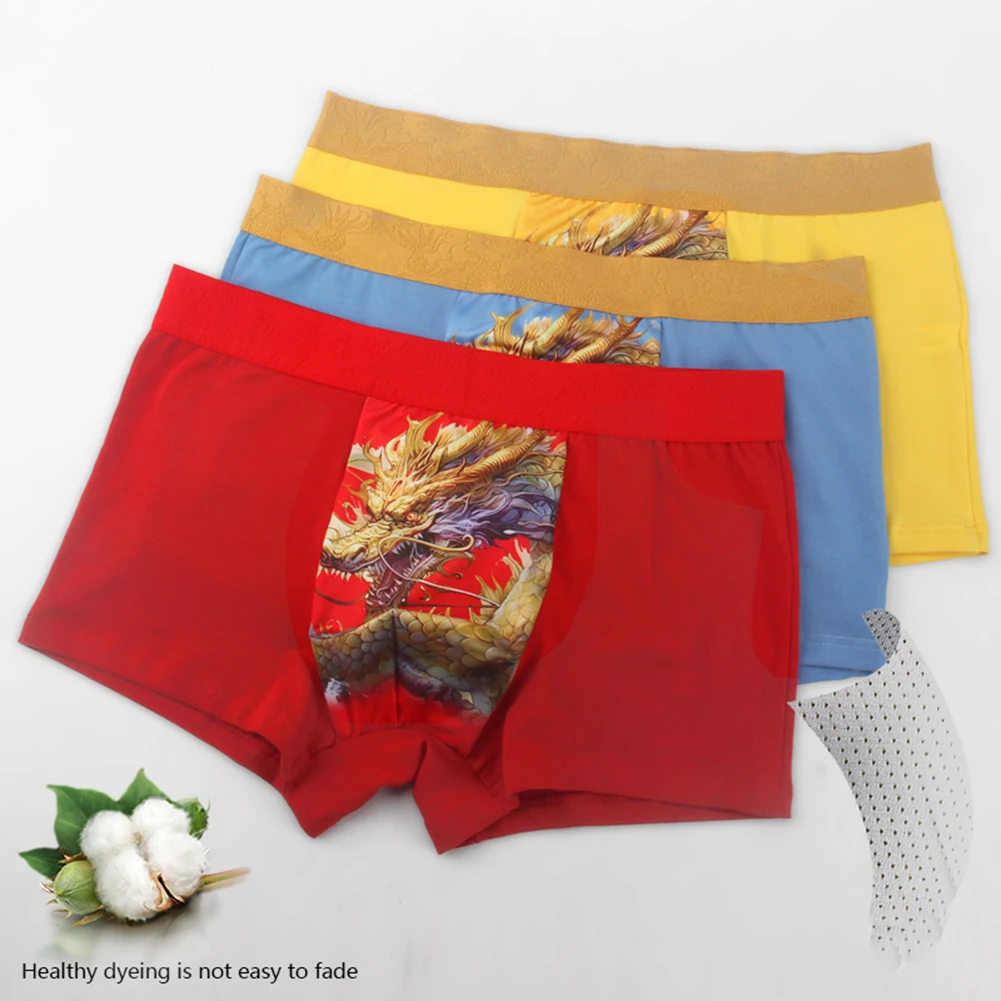 Mens Underwear Cotton Dragon Printed Pouch Boxers Plus Size Breathable Boxer Brief Panties Lingerie Man Seamless-Boxershorts