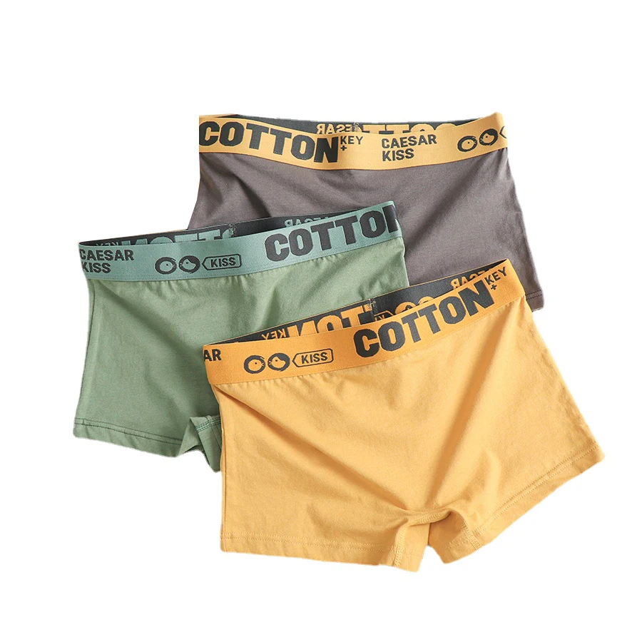 HaleyChan 1Pc Women's Cotton Boxer Briefs Trans Lesbian Tomboy LGBT Underpants Comfortable Breathe Panties Lingerie
