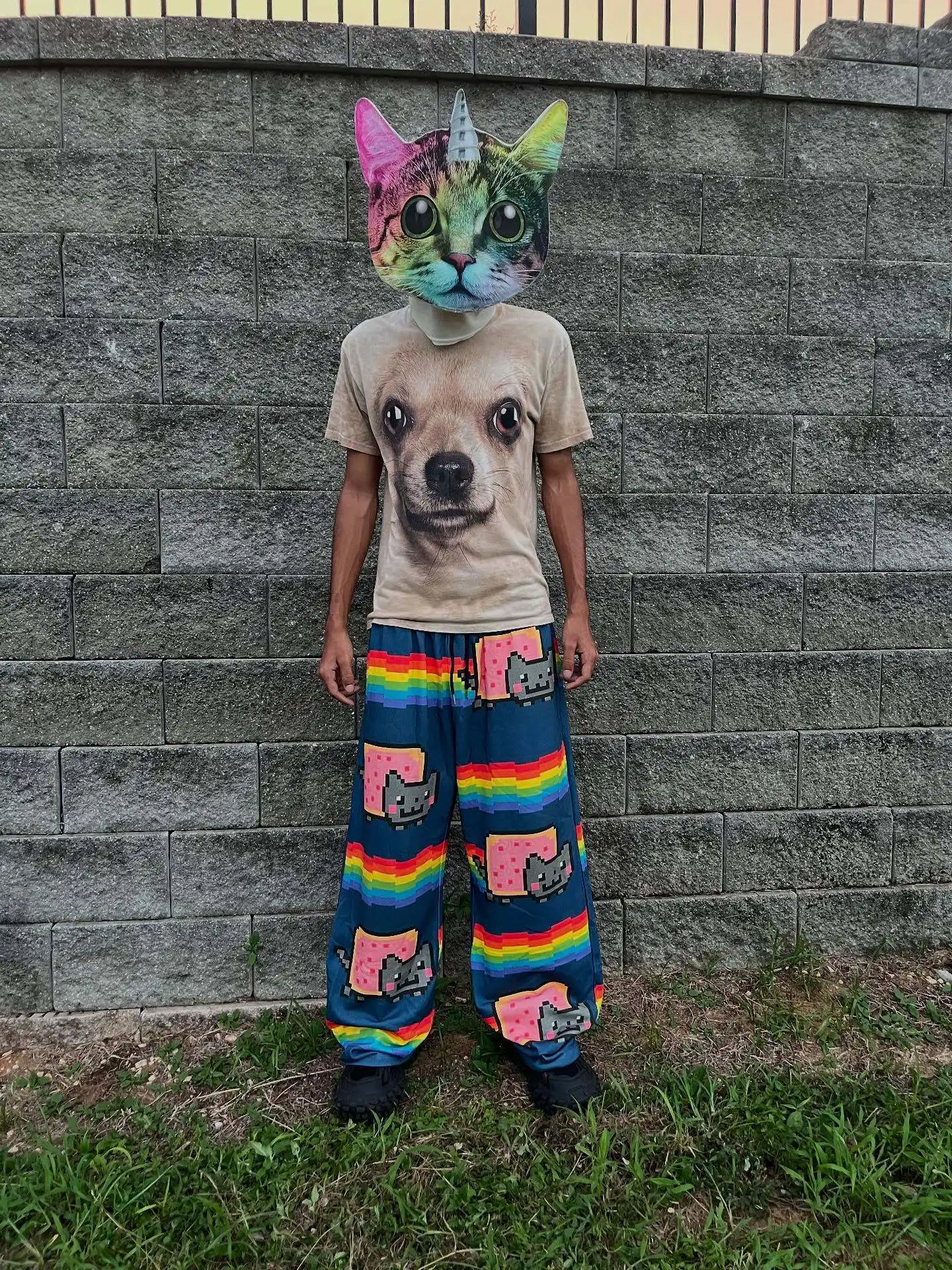 Nyan Cat Sweatpants Y2k Pants Baggy Men Elastic Waist American Streetwear Hip Hop Vintage Joggings Casual Pants Men Clothing - Image 5