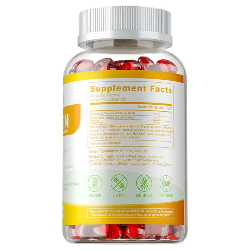 Mullein Leaf Extract - Natural Antioxidant, Supports Lung Function & Respiratory Health, Improves Digestion, and Boosts Immunity - Image 2