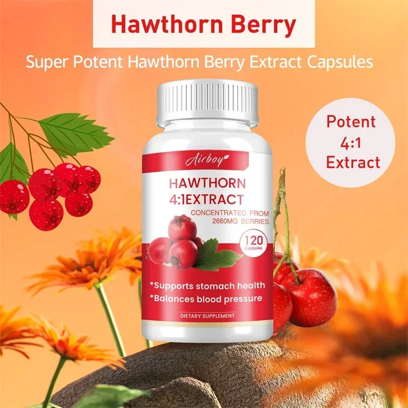 Hawthorn Berry Extract Capsule - Supports Digestive Health, Promotes Energy Production, Blood Circulation, and Boosts Immunity - Image 4