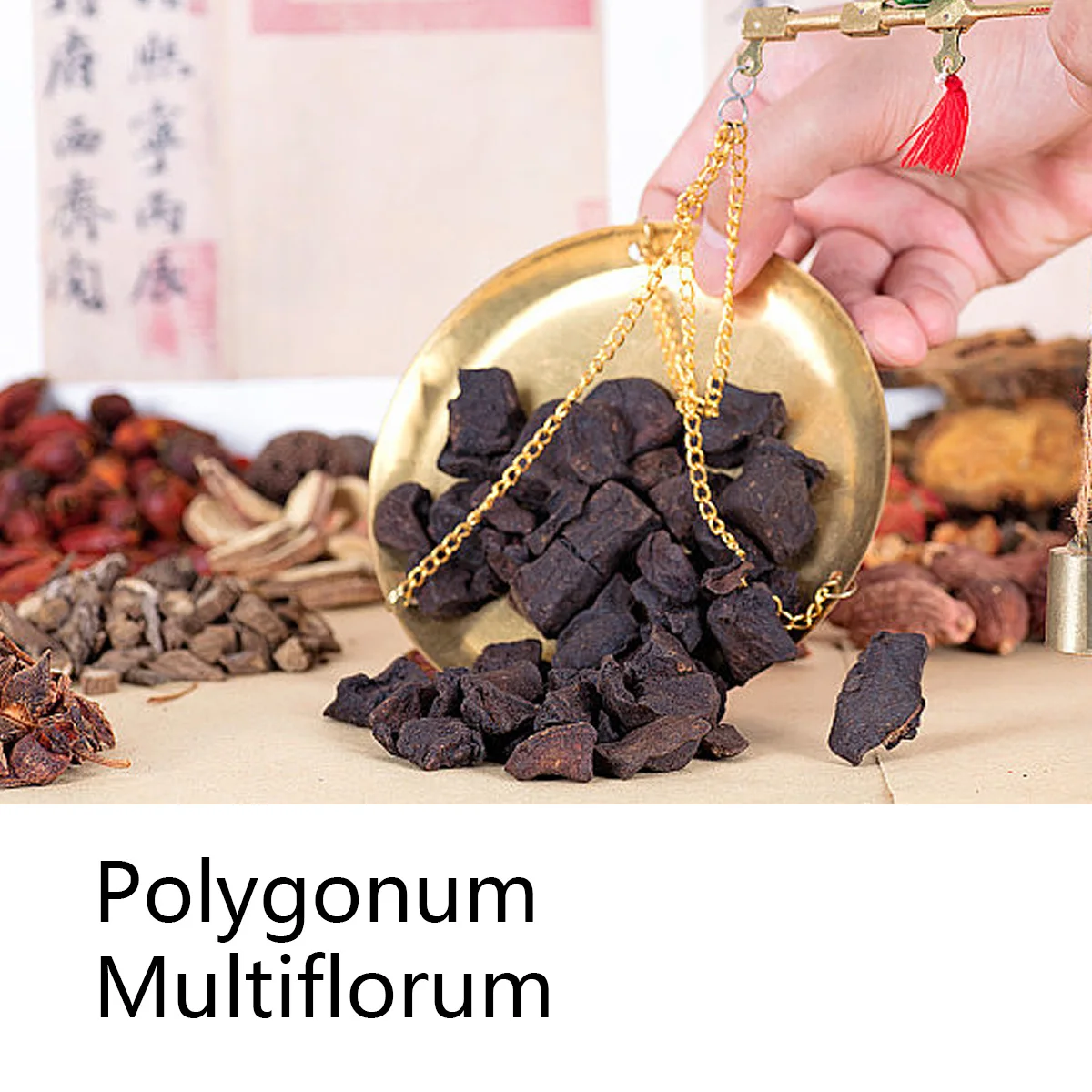 Polygonum Multiflorum Herbal Shampoo Soap Bar, Plant Hair Care Essential Oil Soap, Dark Nourishing Shampoo Soap, Deep Cleansing - Image 4