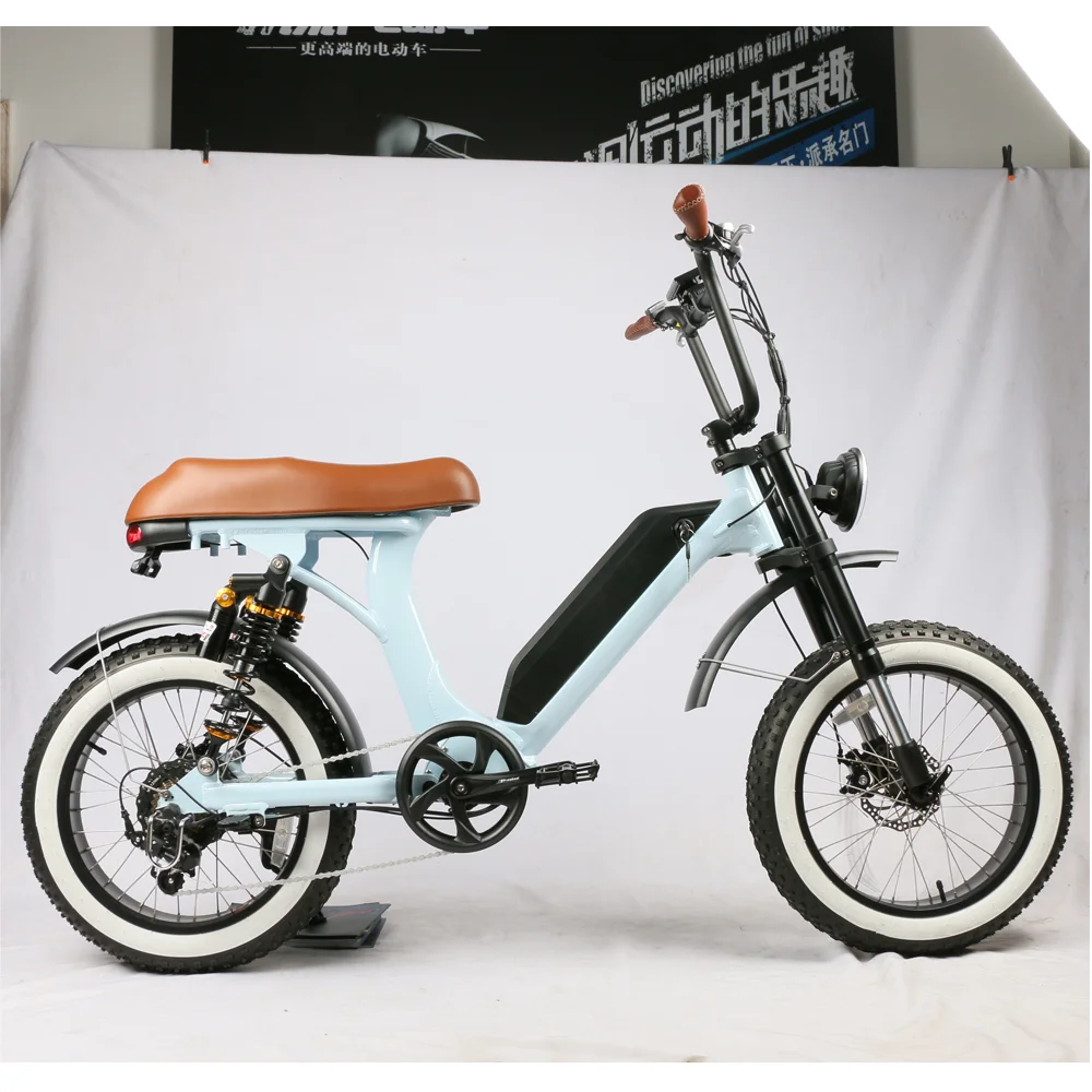 Retro Style E Scooters 500w Dual Motor Optional Motorcycles EEC Electric Bike Moped City Bike for Adults - Image 6