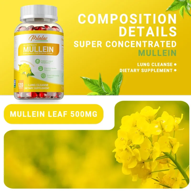 Mullein Leaf Extract - Natural Antioxidant, Supports Lung Function & Respiratory Health, Improves Digestion, and Boosts Immunity - Image 4