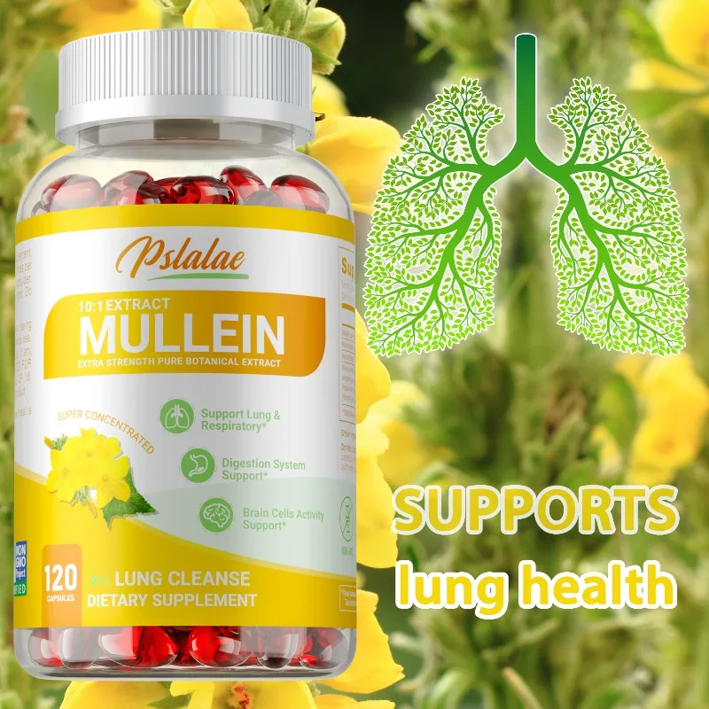 Mullein Leaf Extract - Natural Antioxidant, Supports Lung Function & Respiratory Health, Improves Digestion, and Boosts Immunity