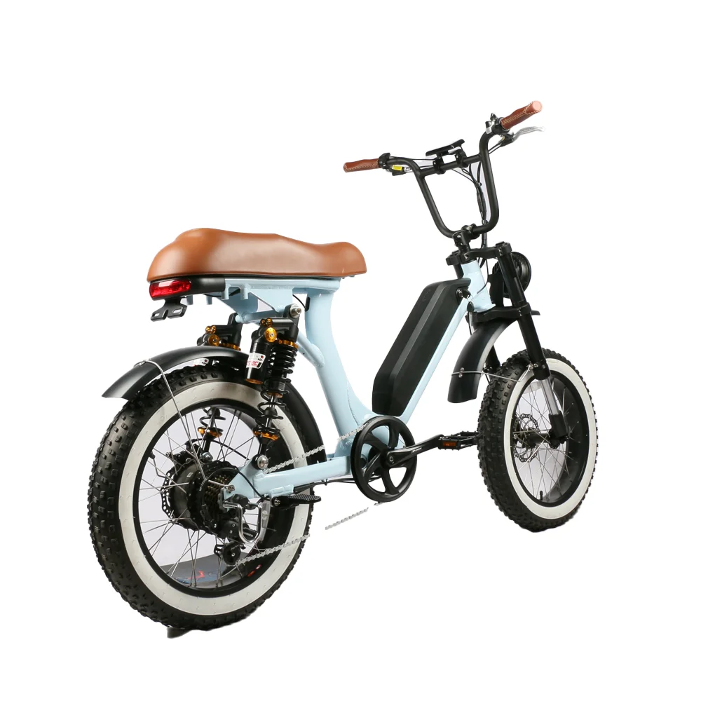 Retro Style E Scooters 500w Dual Motor Optional Motorcycles EEC Electric Bike Moped City Bike for Adults