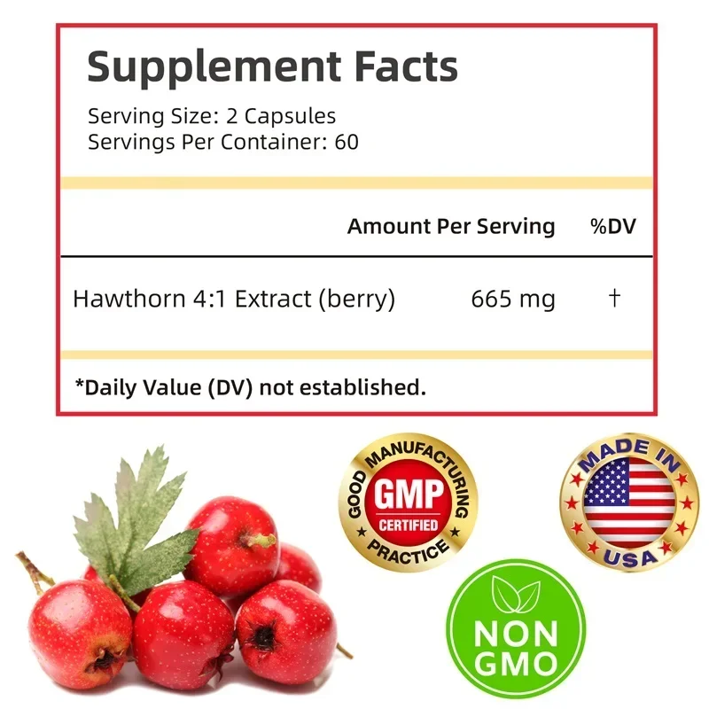 Hawthorn Berry Extract Capsule - Supports Digestive Health, Promotes Energy Production, Blood Circulation, and Boosts Immunity - Image 2