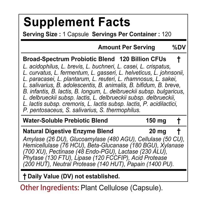 Probiotics + Prebiotics + Digestive Enzymes - Promote Intestinal Flora Digestive Health Women & Men Provide Lasting EnergySupple - Image 3