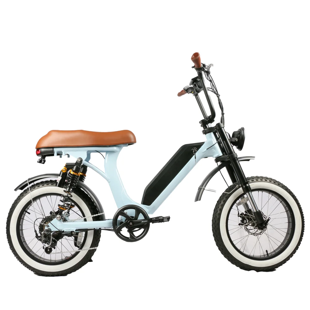 Retro Style E Scooters 500w Dual Motor Optional Motorcycles EEC Electric Bike Moped City Bike for Adults - Image 4