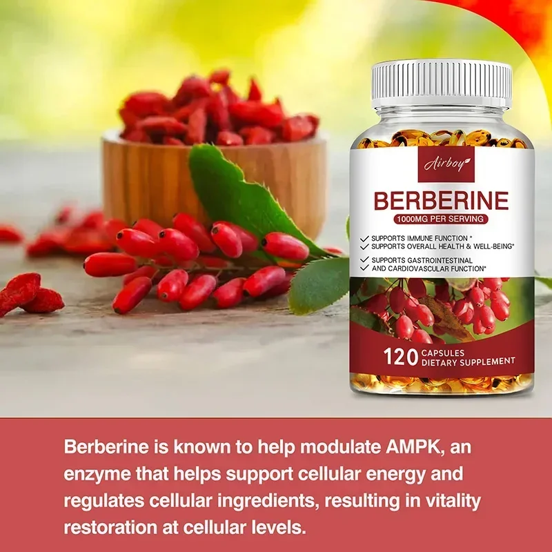 Berberine Capsules - Support Overall Health and Immune Function, Promote Digestion, Enhance Energy, Anti-oxidant and Anti-aging - Image 3