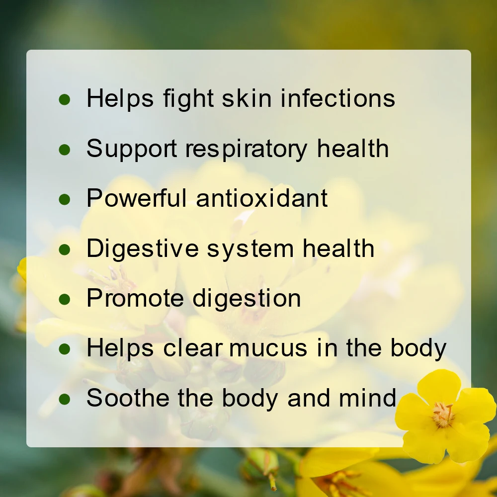 GPGP Greenpeople Herbal Mullein Leaf Drink for Lung Cleansing Unobstructed Breathing Relieve Cough Detoxification Health Care - Image 3