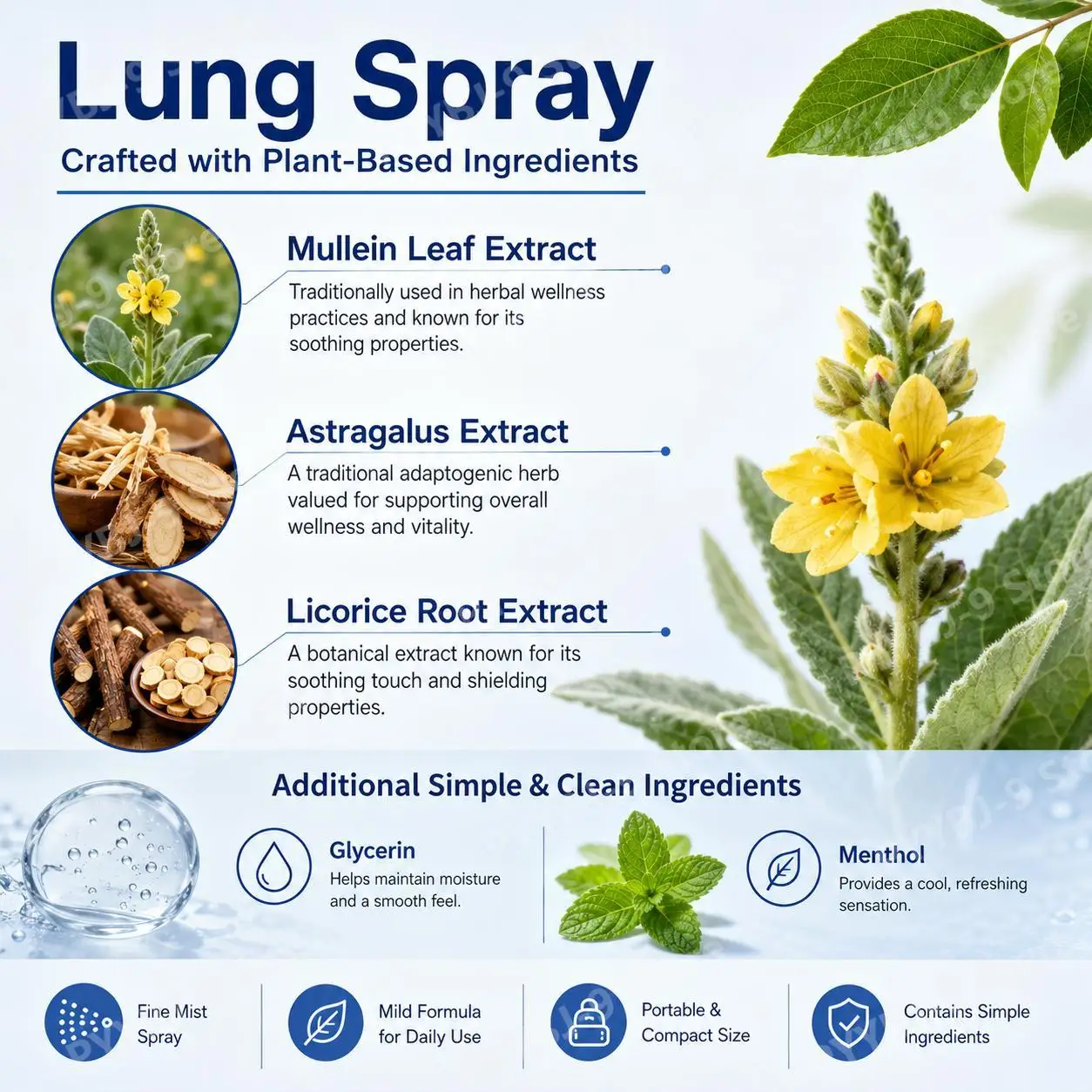 Lung Spray for Smoother Breathing with Mist, Mullein Leaf Extract, Astragalus Extract and Licorice Root Extract, 100 ML - Image 4