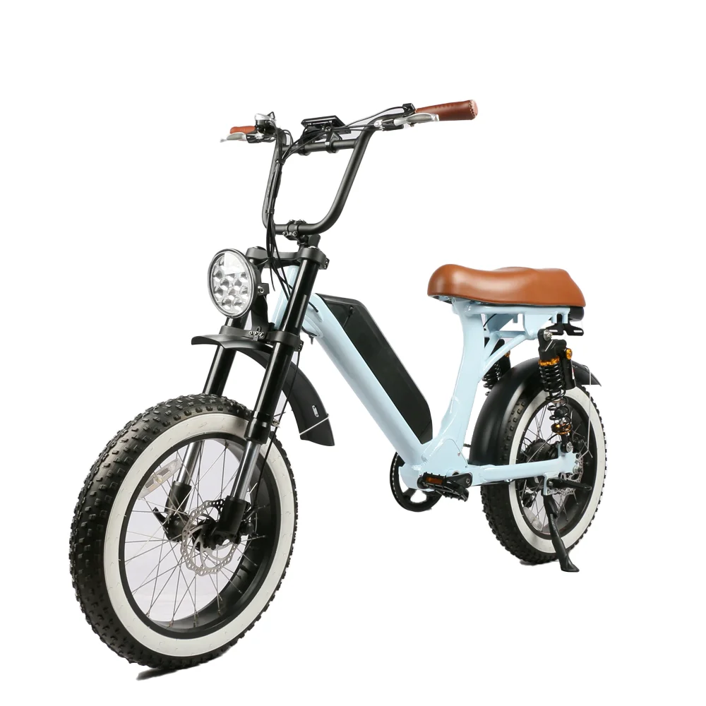 Retro Style E Scooters 500w Dual Motor Optional Motorcycles EEC Electric Bike Moped City Bike for Adults - Image 2