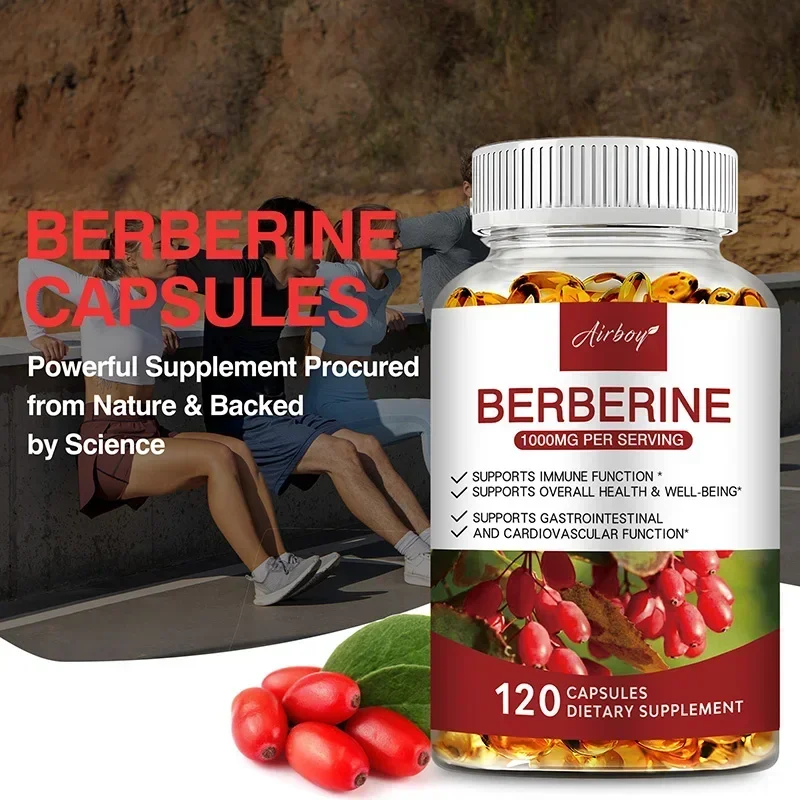 Berberine Capsules - Support Overall Health and Immune Function, Promote Digestion, Enhance Energy, Anti-oxidant and Anti-aging - Image 4